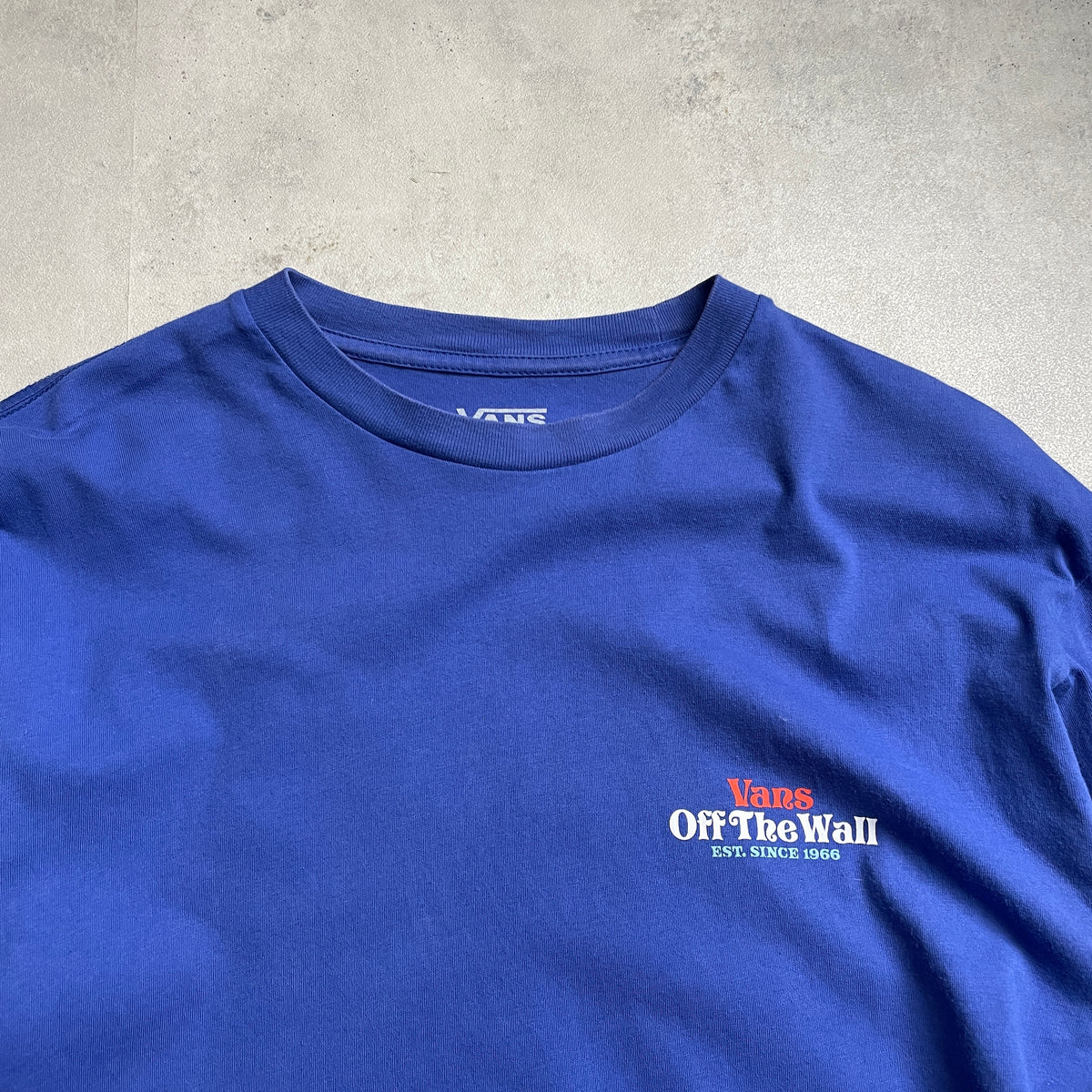 Vans graphic longsleeve