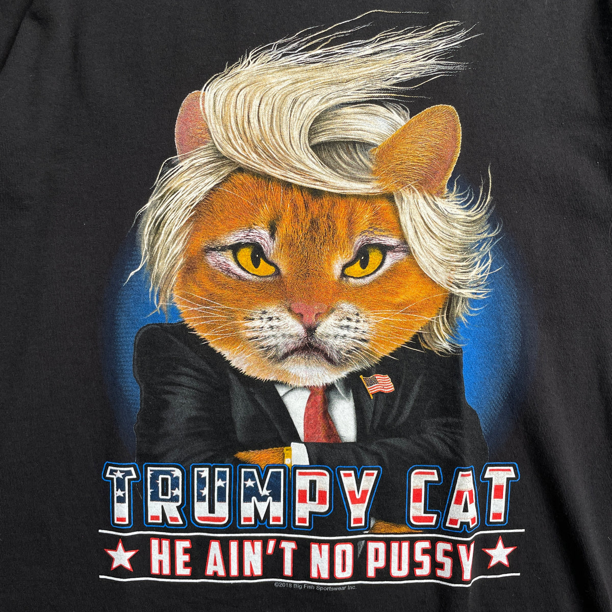 Trumpy cat graphic póló