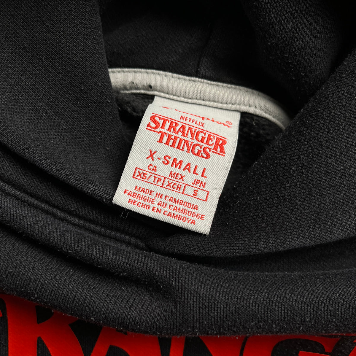 Champion x Stranger Things hoodie